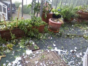 Unwetterschäden:Zerstörte Balkonblumen