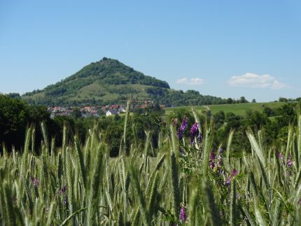 Unweltschutz durch Digitalisierung - Arbeitsplätze auf dem Land.